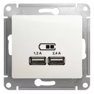 GLOSSA  USB  A+, 5/2,4, 25/1,2 ,  | GSL000639 | Schneider Electric