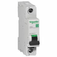  . C60H 1 25A D Schneider Electric