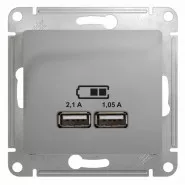Glossa   USB A+A, 5/2,1 ,  Schneider Electric