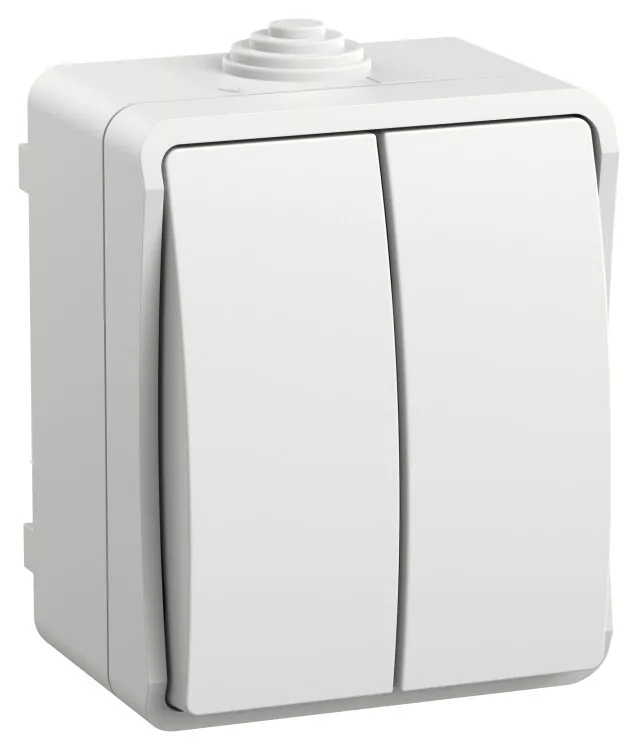 FORS ����������� 2-��������� �/� IP54 ��20-2-0-�� ����� | EVS20-K01-10-54-DC | IEK