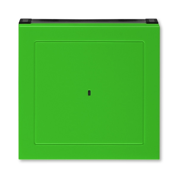 ABB Levit Зелёный / дымчатый чёрный Накладка для выключателя карточного ABB