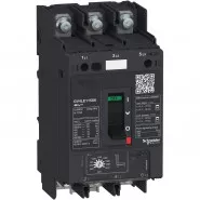 . GV4LE    115A 25kA   . Schneider Electric