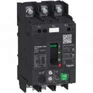 . GV4PE  . NFC  2A 50kA   .. Schneider Electric