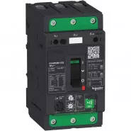 . GV4PE  . NFC  50A 50kA  EVERLINK Schneider Electric