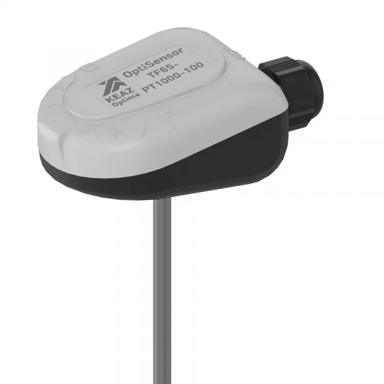    OptiSensor TF65-PT1000-100  