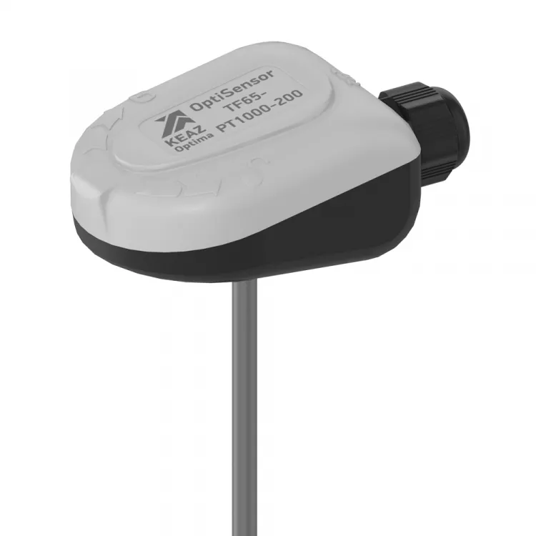    OptiSensor TF65-PT1000-200  