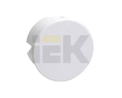 ������� ����������������� �/� 80�40 ��41004 � ������� IEK