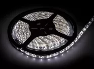   LS 28CW-60/65 60LED 4.8/ 12 IP65   6000K | 4690612023113 | IN HOME