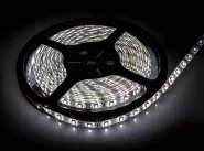   LS 28WW-60/65 60LED 4.8/ 12 IP65   3000K | 4690612023151 | IN HOME