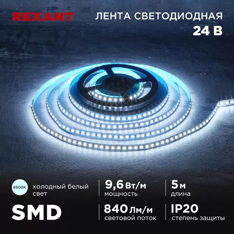 ����� ������������ 24�, SMD2835, 9,6��/�, 120 LED/�, 6500K, 10��, 5�,IP20 | 141-639 | REXANT