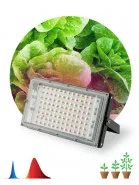     80 FITO-80W-RB-LED-Y -  | 0053082 | 