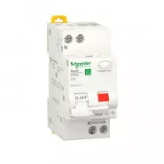 RESI9 . .   () 1P+N  10 6000A 10  A | R9D51610 | Schneider Electric