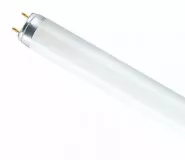     36 8 G13 640 L OSRAM